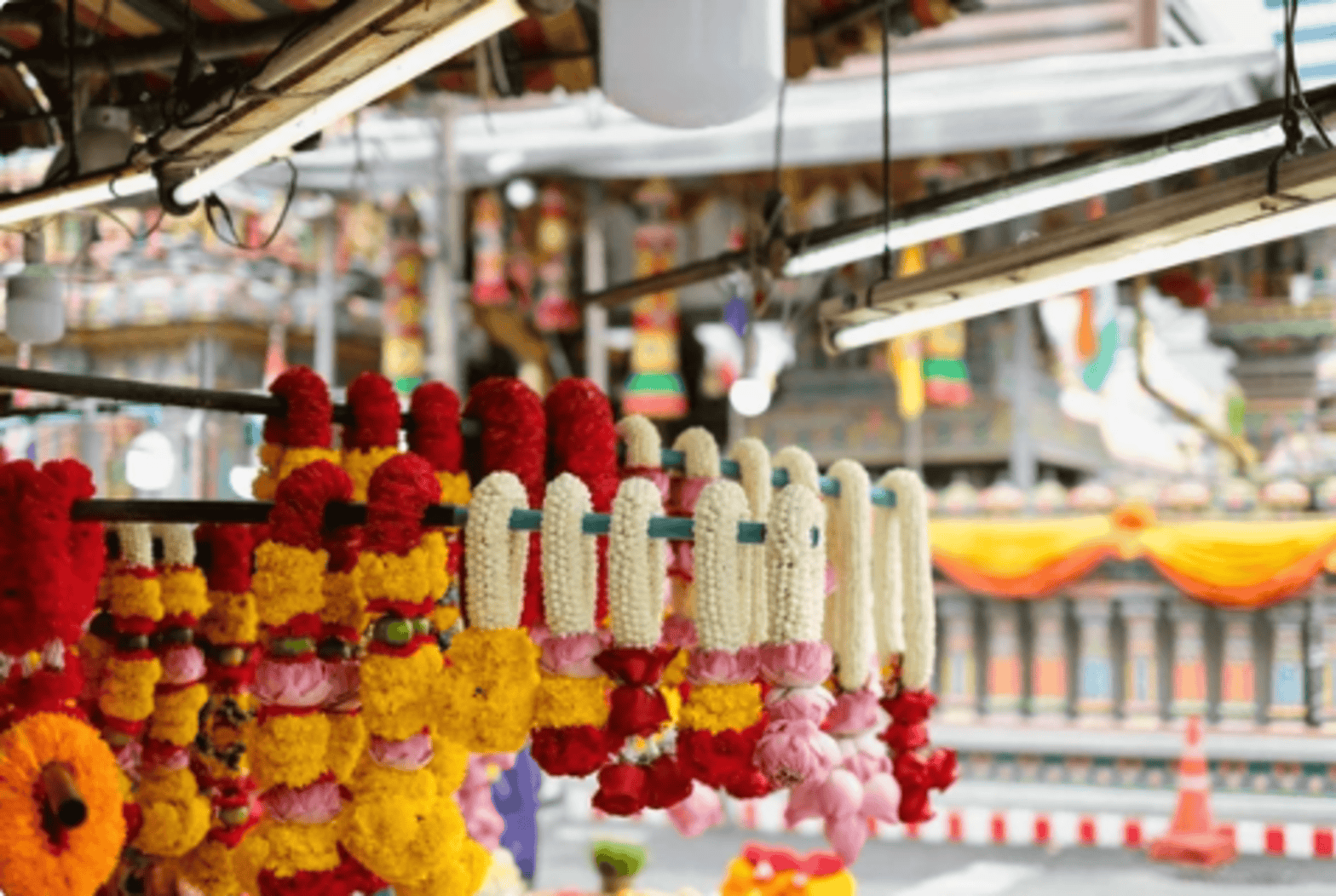 Fresh Floral Arrivals